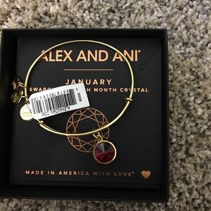 Alex and Ani January birthstone bracelet